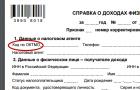 Что такое код по октмо 2 ндфл Что такое код по октмо 2 ндфл